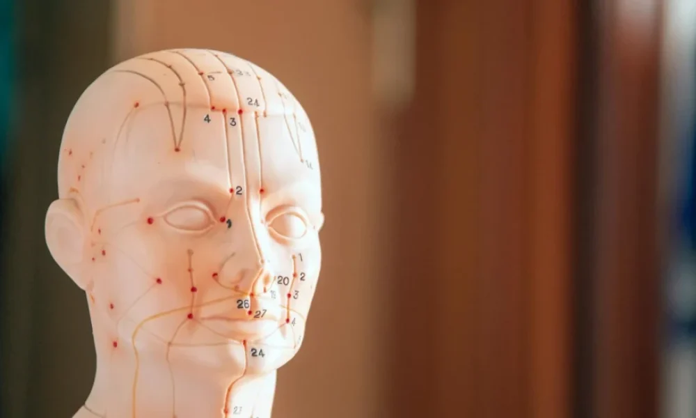 Tinnitus - medikal atlas stilinde anatomik kesit illustrasyonu
