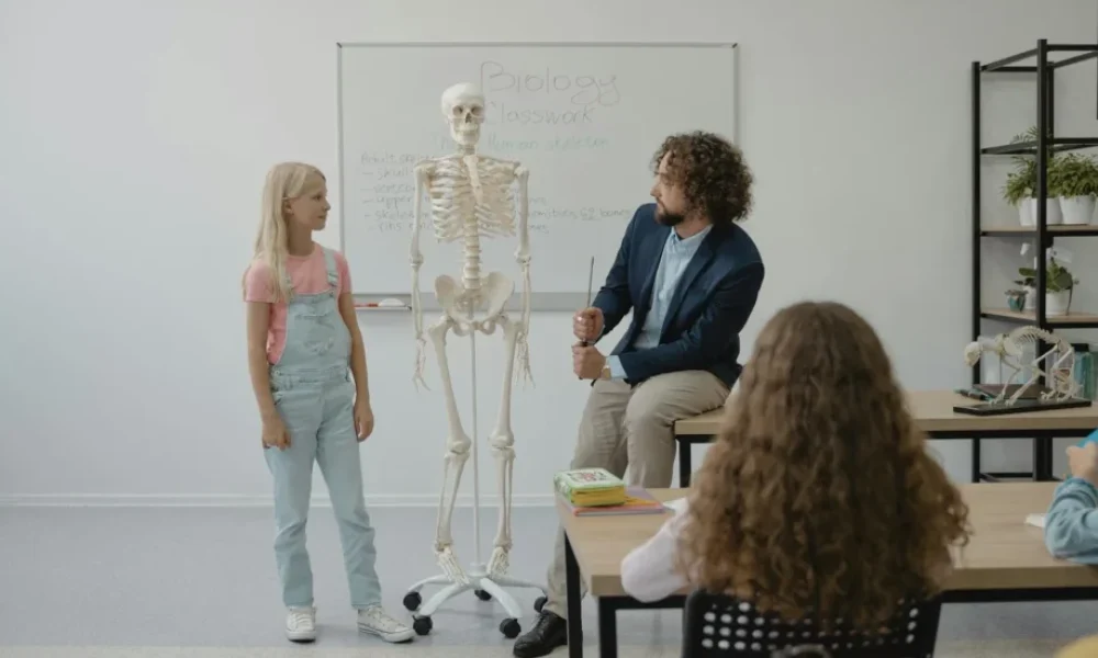Çocuklarda Vertigo - medikal atlas stilinde anatomik kesit illustrasyonu