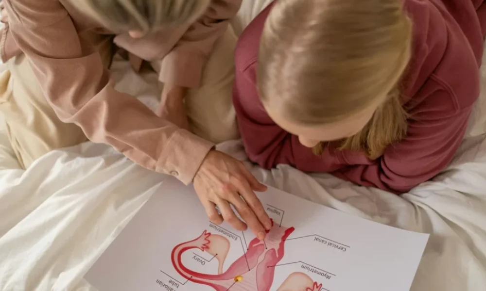 PPPD - medikal atlas stilinde anatomik kesit illustrasyonu