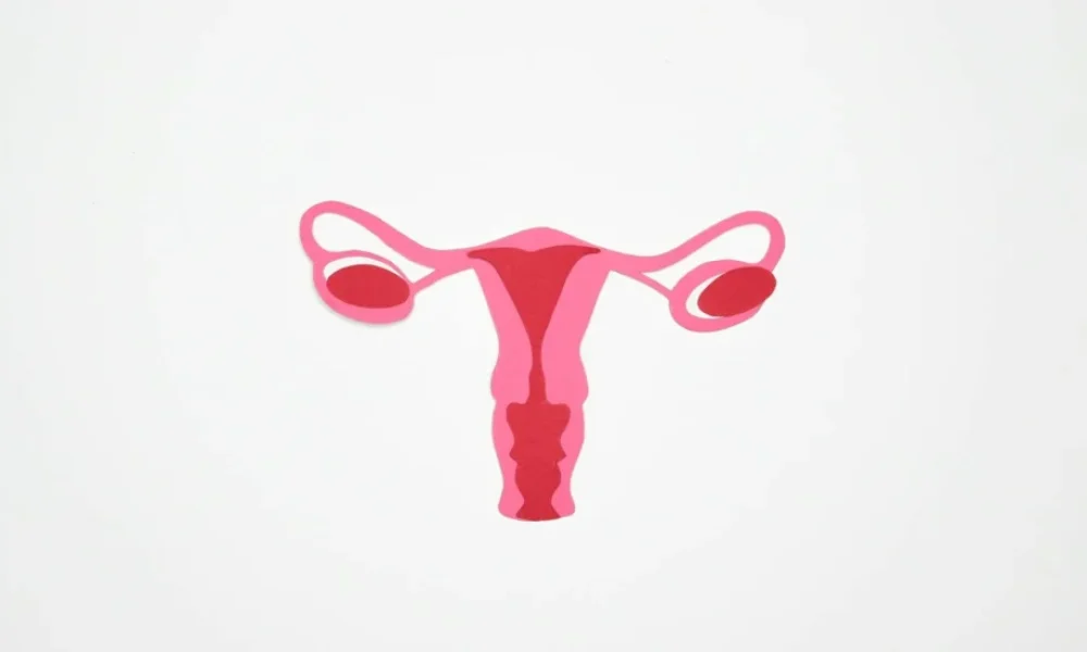Vemp testi - hasta belirti gosterimi ve anatomik kesit illustrasyonu