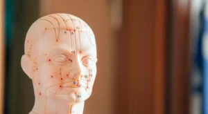 Tinnitus - medikal atlas stilinde anatomik kesit illustrasyonu